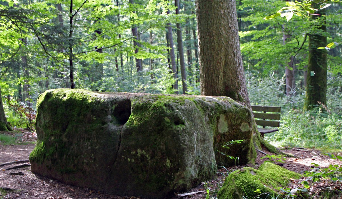 FeenSpuren | Sagenhafter Femelwald Premiumwanderweg - Premiumwanderweg mit Start in Sulzbach an der Murr, © Alexandra Kübler