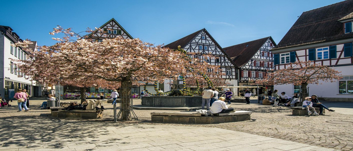 Kirchheim_unter_Teck_Marktplatz_2025_002_c_SMG_Sarah_Schmid, © SMG Stuttgart Marketing GmbH - Sarah Schmid