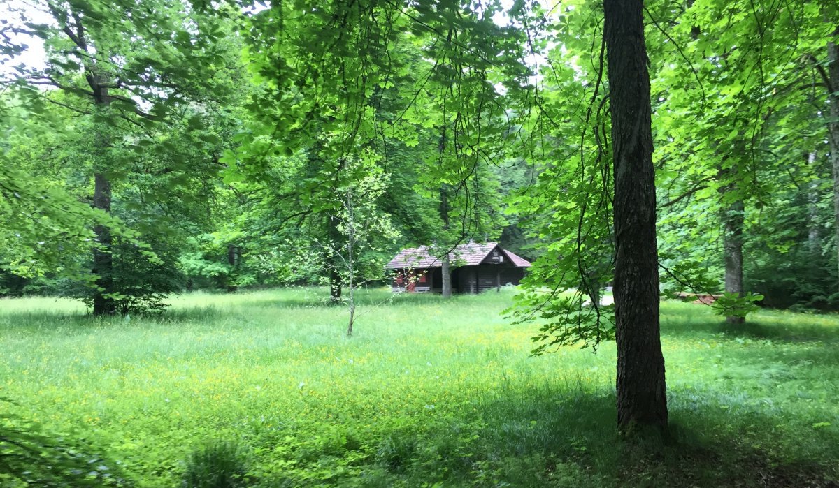 Eine kleine Holzh&uuml;tte steht in einem dichten, gr&uuml;nen Wald. Eine Lichtung mit Gras und B&auml;umen umgibt die H&uuml;tte., &copy; www.pro-cycl.de