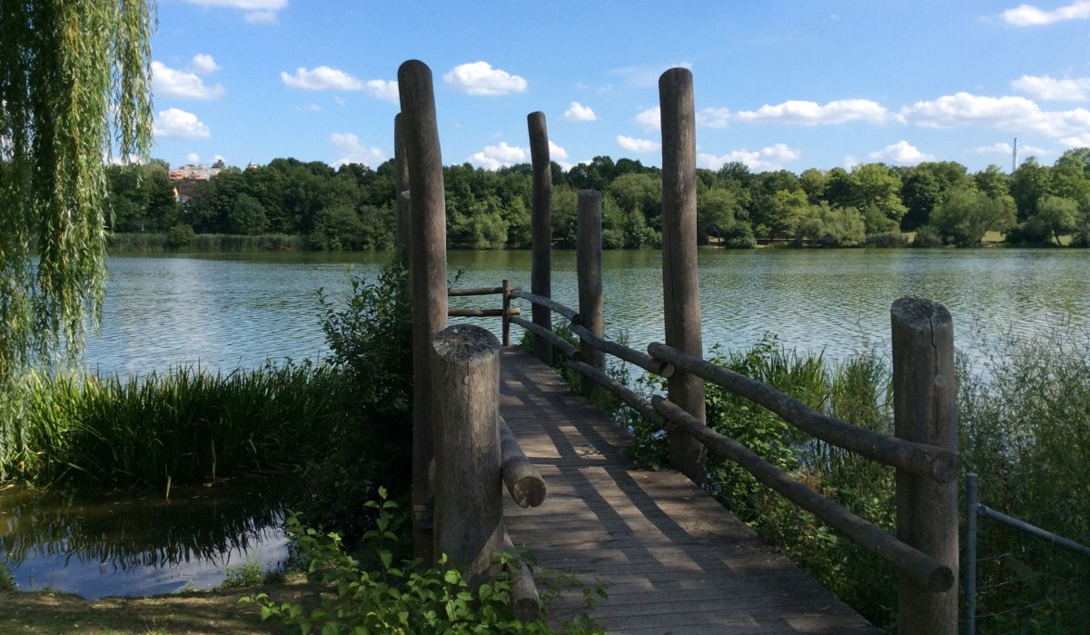 Ein Holzsteg führt über einen See, umgeben von üppigem Grün und Bäumen. Der Himmel ist blau mit einigen Wolken., © Herde Ein Holzsteg führt über einen See, umgeben von üppigem Grün und Bäumen. Der Himmel ist blau mit einigen Wolken., © Herde