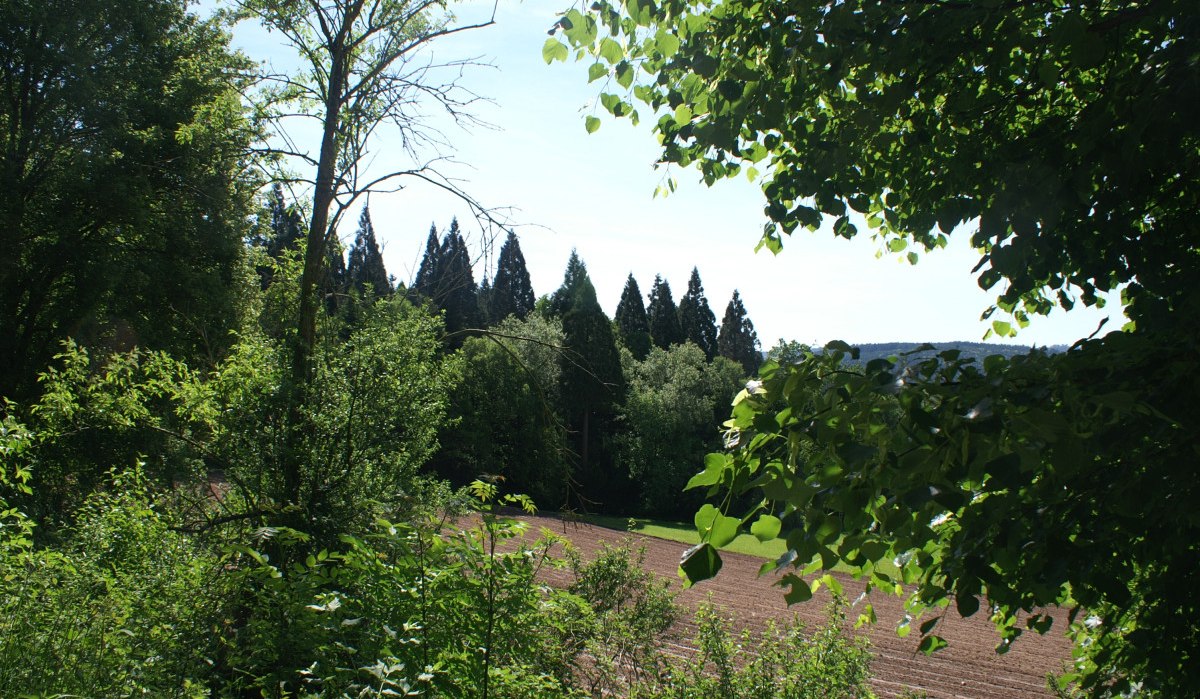 Grüne Bäume rahmen den Blick auf ein gepflügtes Feld ein, dahinter dichter Wald und blauer Himmel., © Remstal Tourismus e.V.