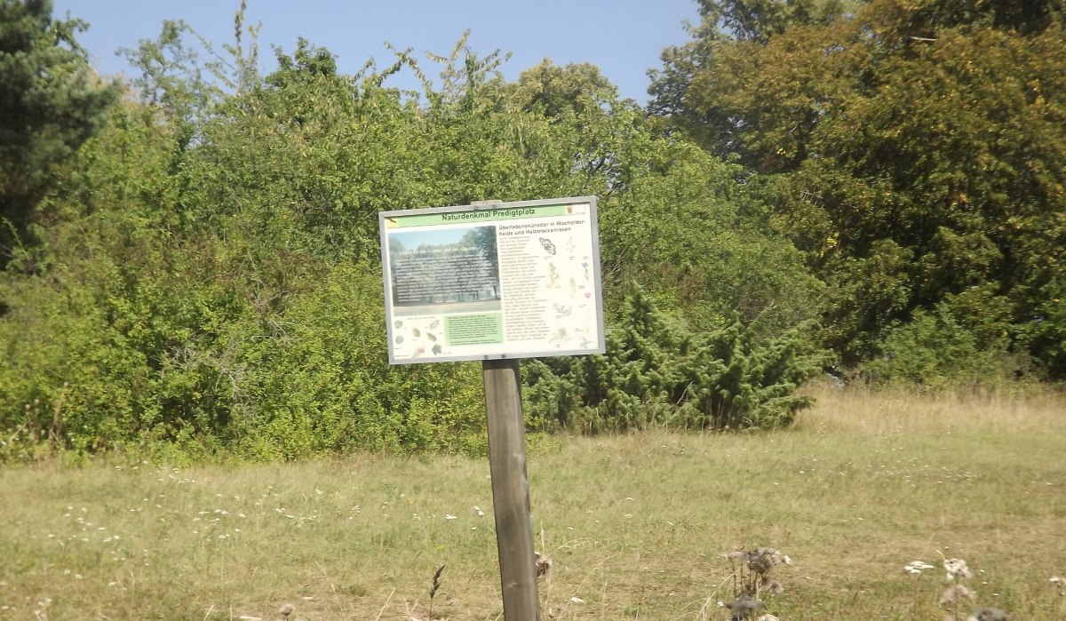 Ein Schild im Grünen mit der Aufschrift 'Naturdenkmal Predigtplatz' vor Bäumen und Wiese., © Natur.Nah. Schönbuch & Heckengäu Ein Schild im Grünen mit der Aufschrift 'Naturdenkmal Predigtplatz' vor Bäumen und Wiese., © Natur.Nah. Schönbuch & Heckengäu