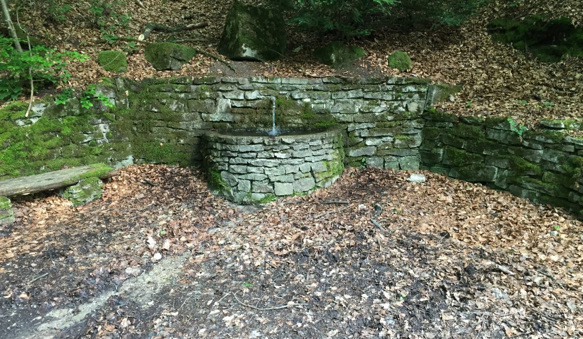 Eine mit Moos bedeckte Steinquelle im Wald, aus der Wasser fließt. Umgeben von Laub und Bäumen, mit einer kleinen Bank links., © www.pro-cycl.de Eine mit Moos bedeckte Steinquelle im Wald, aus der Wasser fließt. Umgeben von Laub und Bäumen, mit einer kleinen Bank links., © www.pro-cycl.de