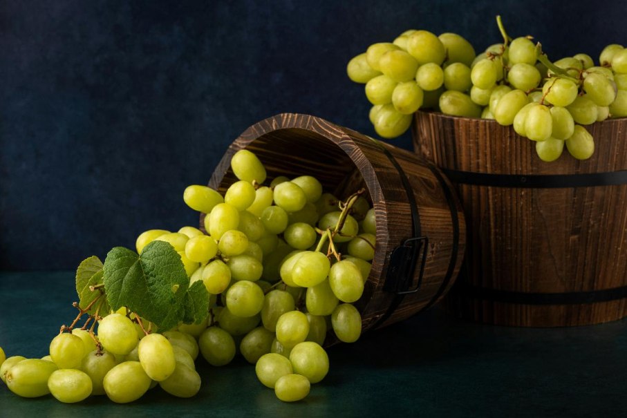 Esslinger Traubenmenü, © © Skyler Ewing - Unsplash Lizenz Esslinger Traubenmenü, © © Skyler Ewing - Unsplash Lizenz