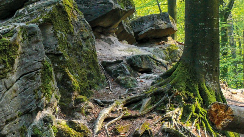 Feenspuren | Premiumspazierwanderweg Felsenmeer - Premiumwanderweg mit Start in Murrhardt, © SWT - Jan Bürgermeister