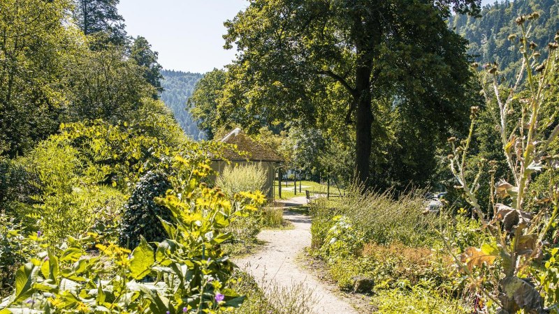 Ein üppiger Garten mit Bäumen und Pflanzen, ein Pfad führt zu einem Pavillon. Im Hintergrund sind bewaldete Hügel zu sehen., © Stuttgart-Marketing GmbH, Sarah Schmid Ein üppiger Garten mit Bäumen und Pflanzen, ein Pfad führt zu einem Pavillon. Im Hintergrund sind bewaldete Hügel zu sehen., © Stuttgart-Marketing GmbH, Sarah Schmid