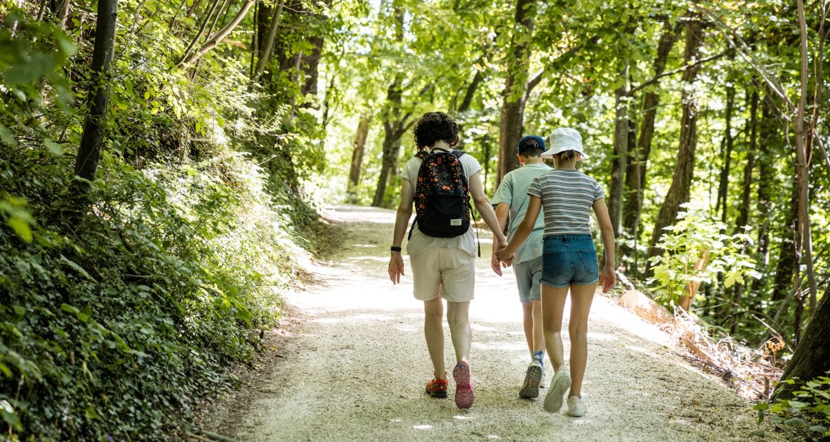 Waldweg Hohenstaufen, © TMBW Waldweg Hohenstaufen, © TMBW