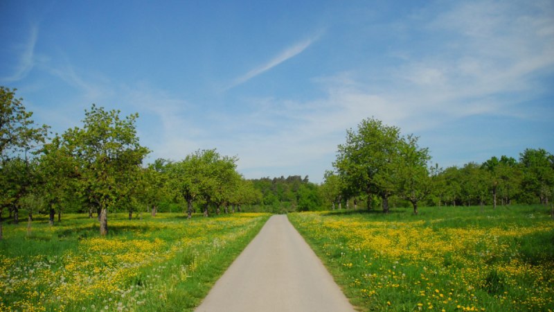 Ein schmaler Weg führt durch eine grüne Wiese mit blühenden Bäumen und gelben Blumen unter einem blauen Himmel., © Stadt Schorndorf Ein schmaler Weg führt durch eine grüne Wiese mit blühenden Bäumen und gelben Blumen unter einem blauen Himmel., © Stadt Schorndorf