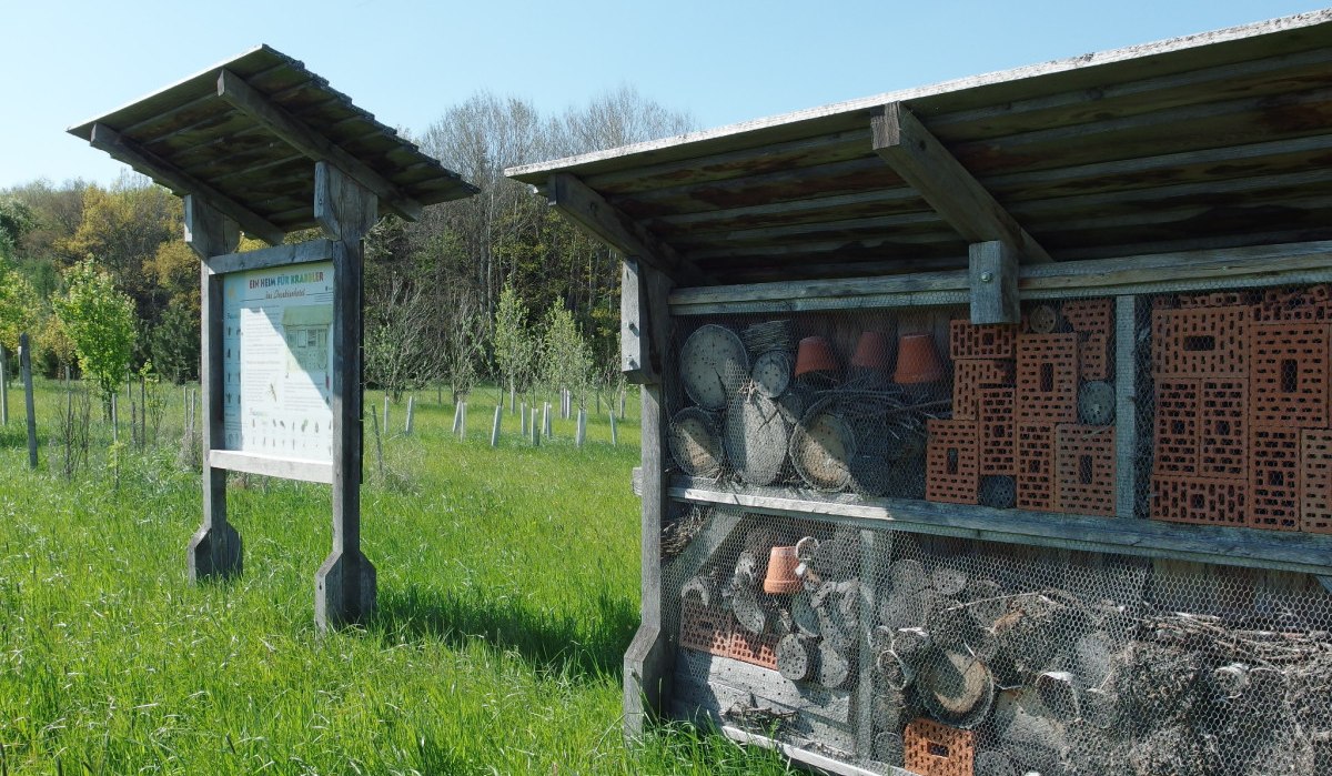 Ein Insektenhotel und eine Infotafel stehen auf einer grünen Wiese im Arboretum Bondorf. Im Hintergrund sind Bäume zu sehen., © Natur.Nah. Schönbuch & Heckengäu Ein Insektenhotel und eine Infotafel stehen auf einer grünen Wiese im Arboretum Bondorf. Im Hintergrund sind Bäume zu sehen., © Natur.Nah. Schönbuch & Heckengäu