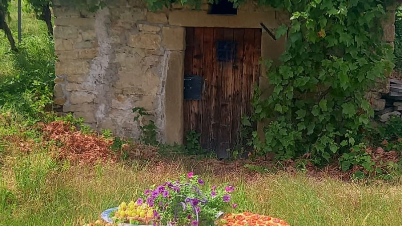 Ein Tisch mit Snacks steht auf einer Wiese vor einem alten Steinhaus, das mit Efeu bewachsen ist. Der Himmel ist bew&ouml;lkt., &copy; Renate Lohfink