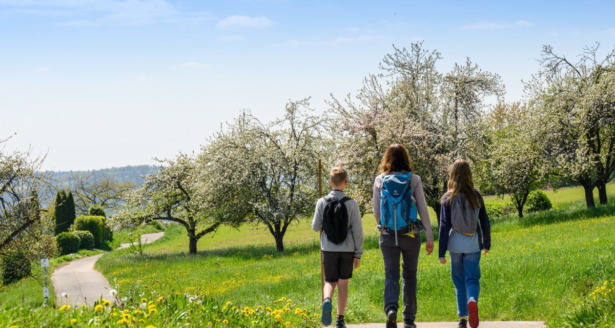 Drei Personen mit Rucksäcken wandern auf einem Weg durch eine grüne, blühende Landschaft mit Bäumen unter blauem Himmel., © Stadtverwaltung Winnenden