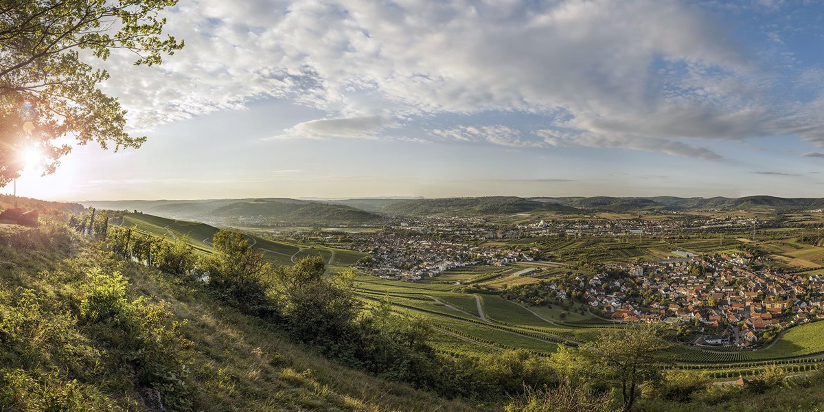 Panoramablick vom Kleinheppacher Kopf über das Remstal mit Weinbergen, Dörfern und Sonnenuntergang im Hintergrund., © Tourismusverein Remstal-Route e.V. Panoramablick vom Kleinheppacher Kopf über das Remstal mit Weinbergen, Dörfern und Sonnenuntergang im Hintergrund., © Tourismusverein Remstal-Route e.V.