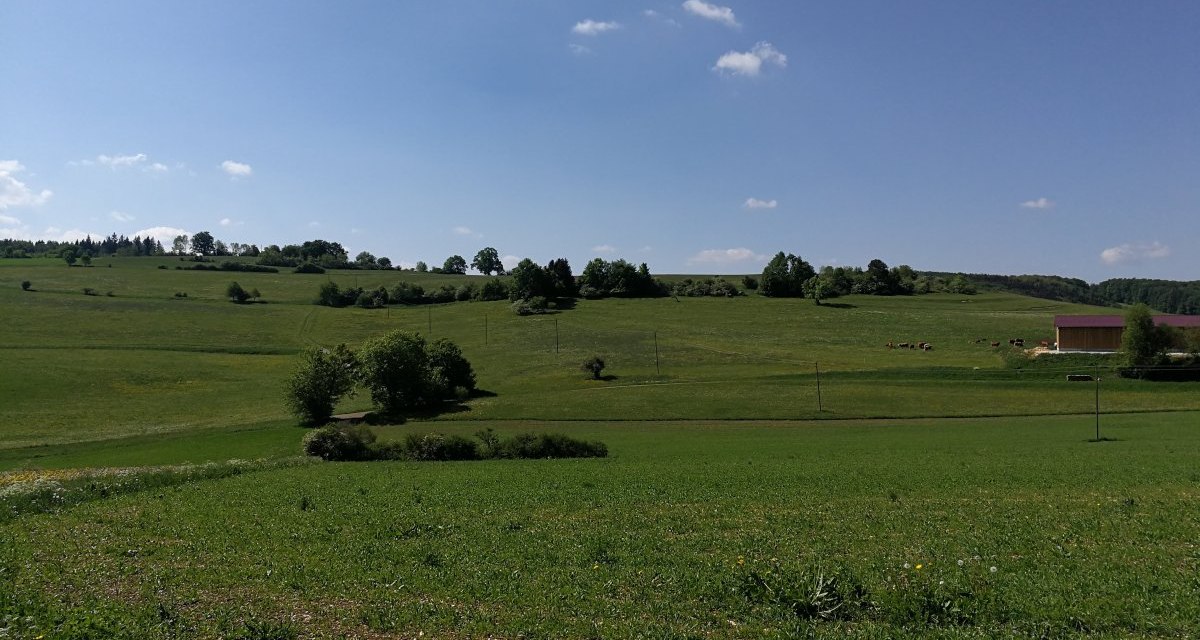 Der Wanderweg f&uuml;hrt entlang der vielen Felder, &copy; Bad Urach Tourismus