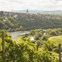 Weinberge überblicken eine Flusslandschaft mit einer Stadt im Hintergrund. Die Landschaft ist grün und hügelig, mit einem Kirchturm sichtbar., © SMG, Ellen Haeffner Weinberge überblicken eine Flusslandschaft mit einer Stadt im Hintergrund. Die Landschaft ist grün und hügelig, mit einem Kirchturm sichtbar., © SMG, Ellen Haeffner
