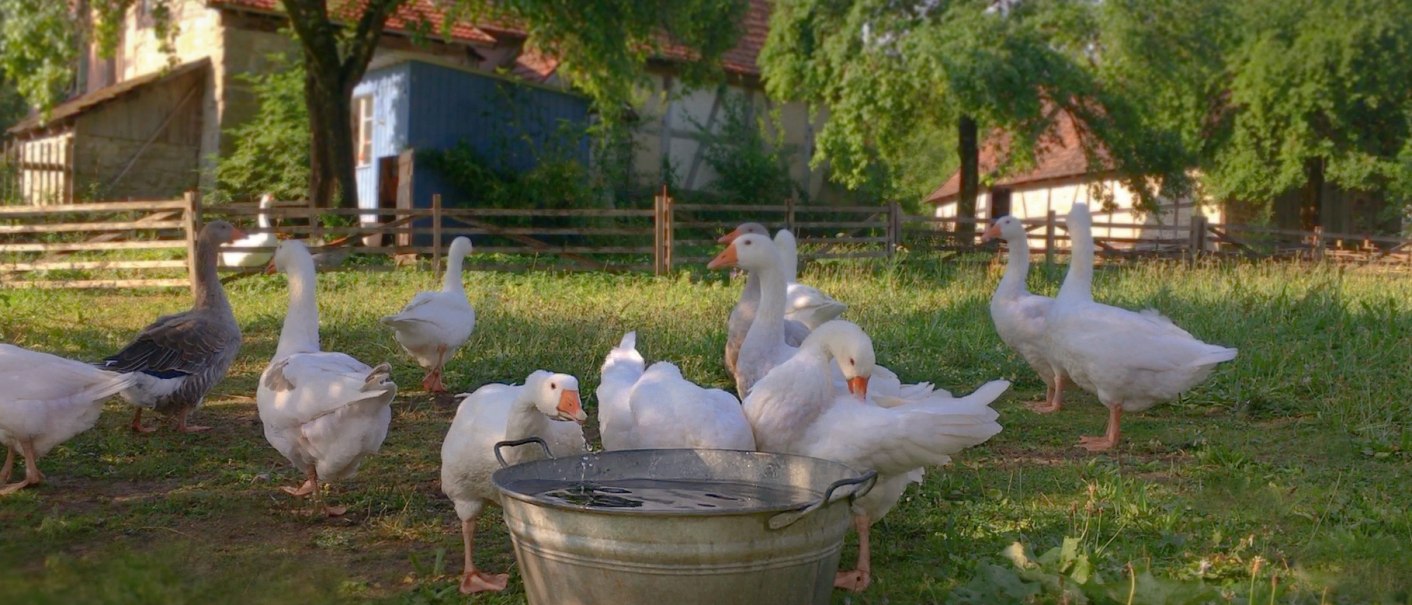 Freilandmuseum Wackershofen, &copy; Hohenloher Freilandmuseum
