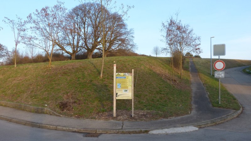 Ein Weg f&uuml;hrt zu einem H&uuml;gel mit B&auml;umen und einem Informationsschild am Naturdenkmal 'Drei Linden' in Schafhausen., &copy; Natur.Nah. Sch&ouml;nbuch & Heckeng&auml;u