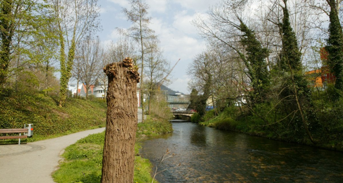 Ein kahler Baumstumpf steht neben einem Gehweg entlang des Flusses Echaz in Reutlingen. Im Hintergrund sind Bäume und Gebäude zu sehen., © Sphäre Verlag Ein kahler Baumstumpf steht neben einem Gehweg entlang des Flusses Echaz in Reutlingen. Im Hintergrund sind Bäume und Gebäude zu sehen., © Sphäre Verlag