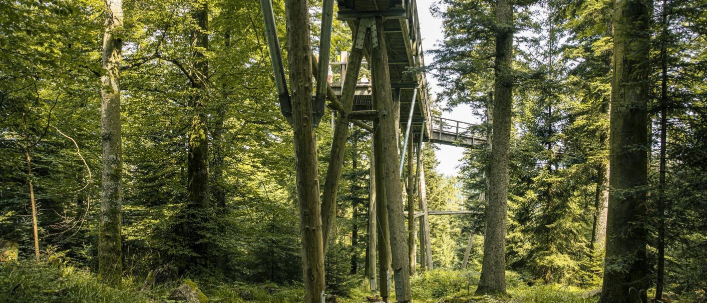 Ein hölzerner Baumwipfelpfad schlängelt sich durch einen dichten, grünen Wald in Bad Wildbad, unterstützt von hohen Pfosten., © Stuttgart-Marketing GmbH, Sarah Schmid Ein hölzerner Baumwipfelpfad schlängelt sich durch einen dichten, grünen Wald in Bad Wildbad, unterstützt von hohen Pfosten., © Stuttgart-Marketing GmbH, Sarah Schmid
