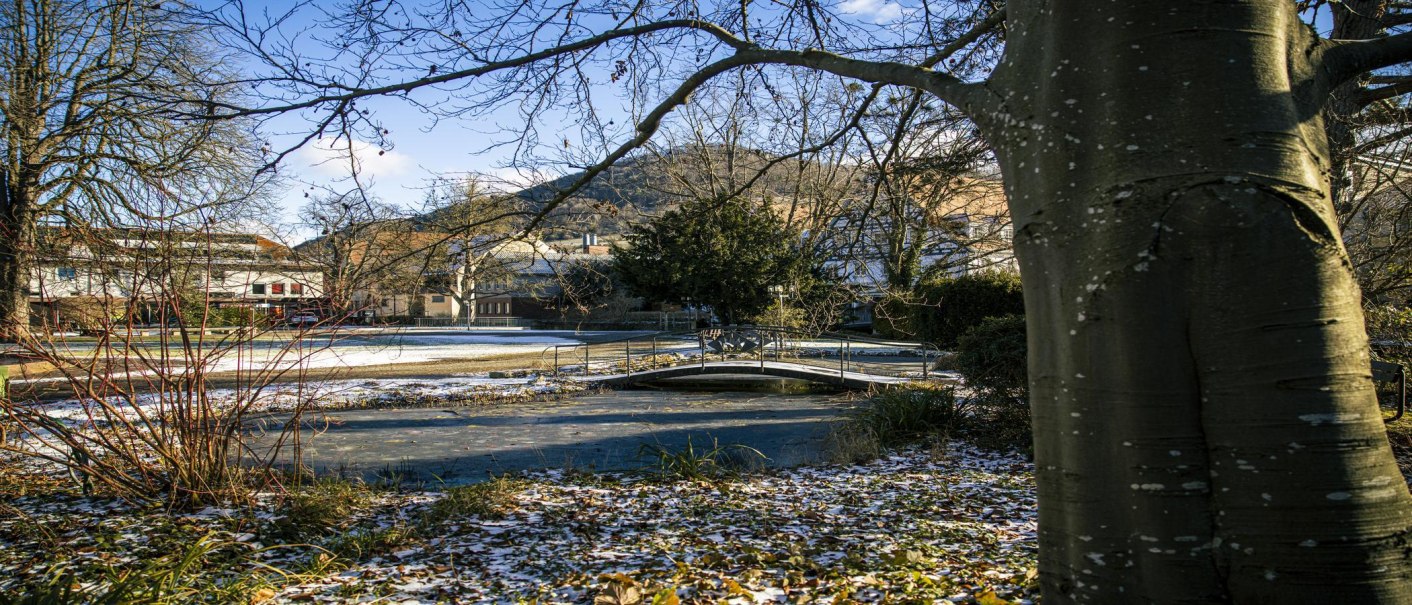 Winterlicher Kurpark in Bad Ueberkingen mit schneebedecktem Boden, kahlen Bäumen und einer kleinen Brücke im Vordergrund., © SMG,  Sarah Schmid