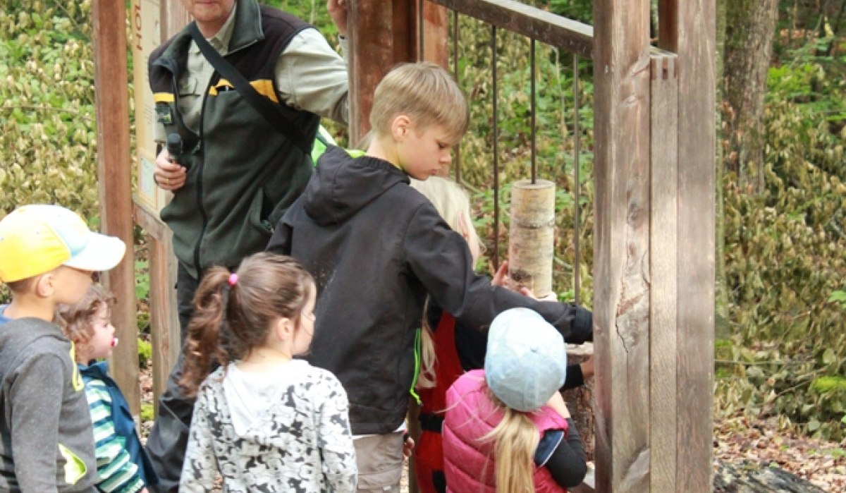 Kinder und ein Erwachsener erkunden eine hölzerne Station im Wald. Der Erwachsene trägt einen Hut und hält ein Fernglas., © Amt für Forsten Landkreis Böblingen Kinder und ein Erwachsener erkunden eine hölzerne Station im Wald. Der Erwachsene trägt einen Hut und hält ein Fernglas., © Amt für Forsten Landkreis Böblingen