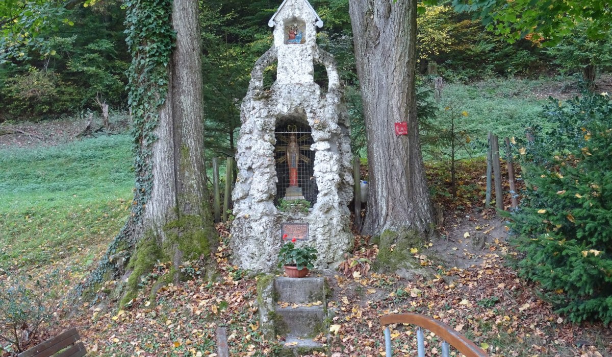 Eine kleine Lourdesgrotte steht zwischen zwei Bäumen im Wald. Im Vordergrund ist eine Bank und herbstliches Laub auf dem Boden zu sehen., © Foto: Cornelia Steinbach Eine kleine Lourdesgrotte steht zwischen zwei Bäumen im Wald. Im Vordergrund ist eine Bank und herbstliches Laub auf dem Boden zu sehen., © Foto: Cornelia Steinbach