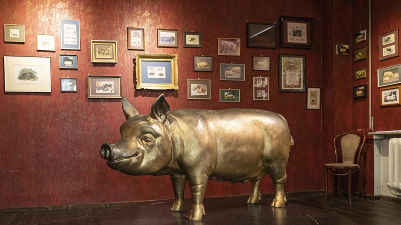 Ein Raum im Schweinemuseum Stuttgart mit einer großen Schweineskulptur und zahlreichen gerahmten Bildern an einer roten Wand., © Stuttgart-Marketing GmbH, Sarah Schmid Ein Raum im Schweinemuseum Stuttgart mit einer großen Schweineskulptur und zahlreichen gerahmten Bildern an einer roten Wand., © Stuttgart-Marketing GmbH, Sarah Schmid