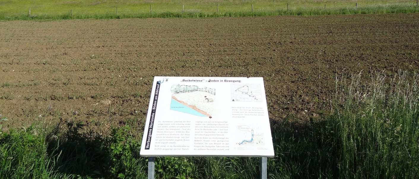 Eine Informationstafel am Bodenlehrpfad Beuren erklärt die "Buckelwiese". Im Hintergrund ist ein bepflanztes Feld zu sehen., © Kurverwaltung Beuren