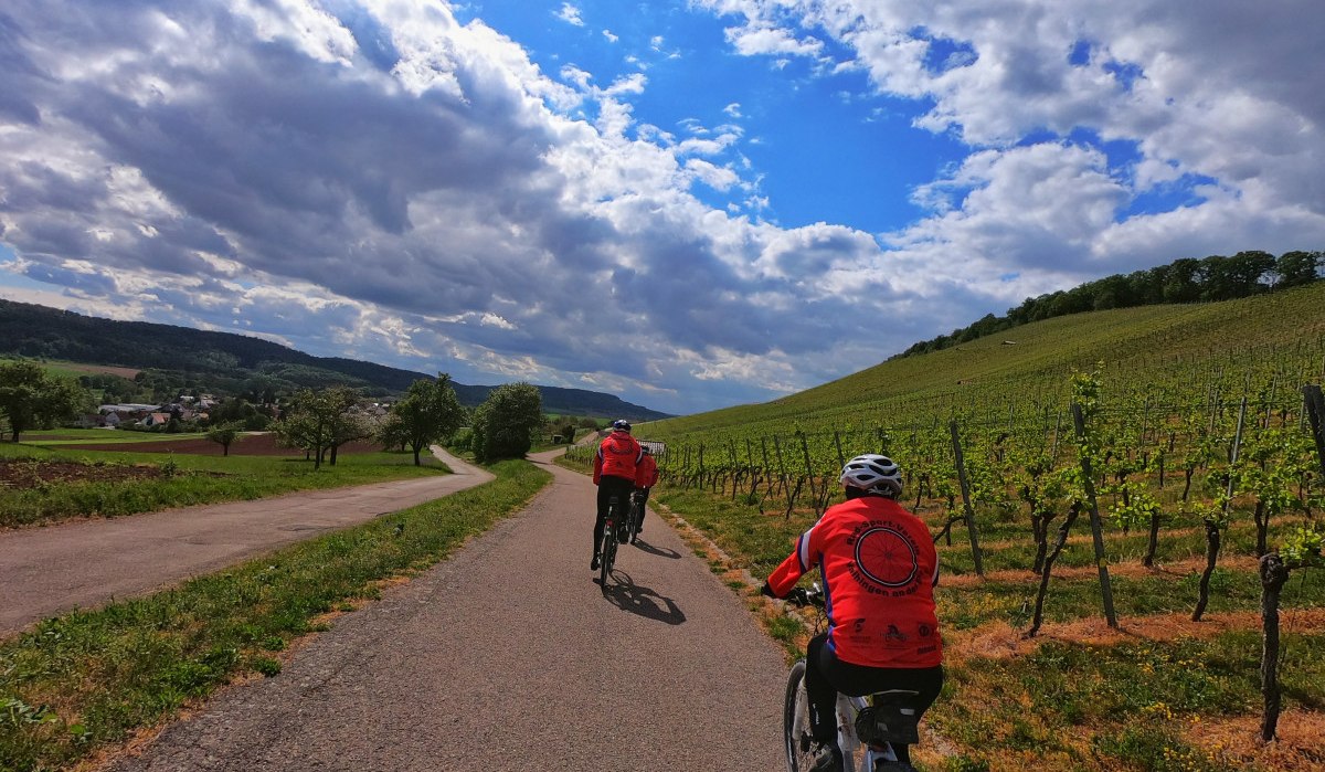 Zwei Radfahrer in roten Trikots fahren auf einem Weg durch Weinberge. Der Himmel ist bewölkt, die Landschaft ist grün und hügelig., © Land der 1000 Hügel - Kraichgau-Stromberg