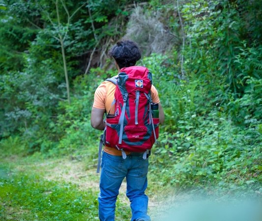 2. Globetrotter Wandertage Schwarzwald: Wanderung "Renn, Walter Speer, renn", © Touristik Bad Wildbad GmbH