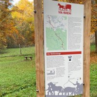 Infotafel "Via Rheni" im Wald, umgeben von herbstlichen Bäumen. Die Tafel informiert über die Weihersteige und zeigt eine Karte der Region., © Natur.Nah. Schönbuch & Heckengäu