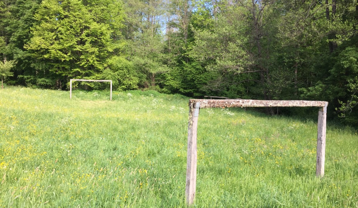 Ein altes, verwittertes Fußballtor steht auf einer grünen Wiese, umgeben von dichten Bäumen. Die Szene wirkt ruhig und naturbelassen., © www.pro-cycl.de Ein altes, verwittertes Fußballtor steht auf einer grünen Wiese, umgeben von dichten Bäumen. Die Szene wirkt ruhig und naturbelassen., © www.pro-cycl.de