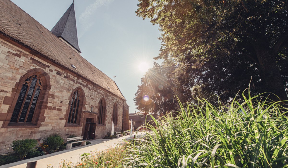 Die Evangelische Stadtkirche Lorch im Sonnenschein, umgeben von grünen Pflanzen und Bäumen. Der Himmel ist klar und die Sonne strahlt hell., © Tourismus Ostalb