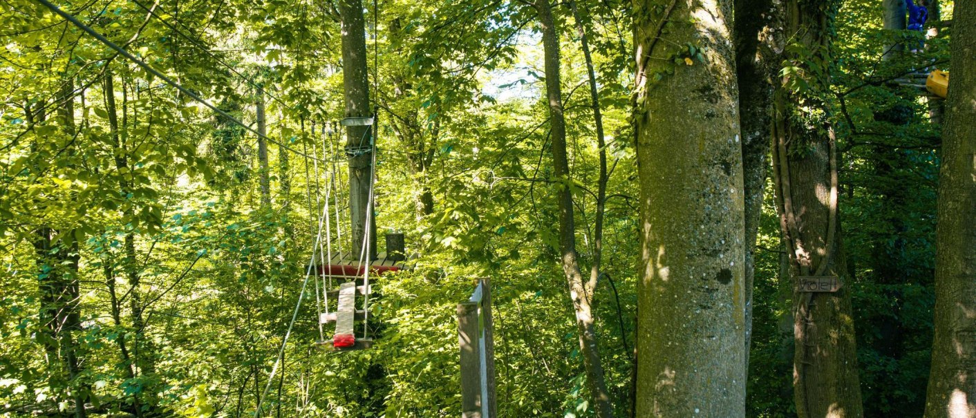 Ein Kletterpark im Wald mit Plattformen und Seilen zwischen B&auml;umen. Die Umgebung ist dicht bewaldet und gr&uuml;n., &copy; Stuttgart-Marketing GmbH, Sarah Schmid
