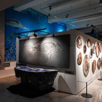 Museumsausstellung mit Fossilien an der Wand und einer großen Wandmalerei eines Meereslebewesens. Beleuchtung betont die Exponate., © Tobias Tropper