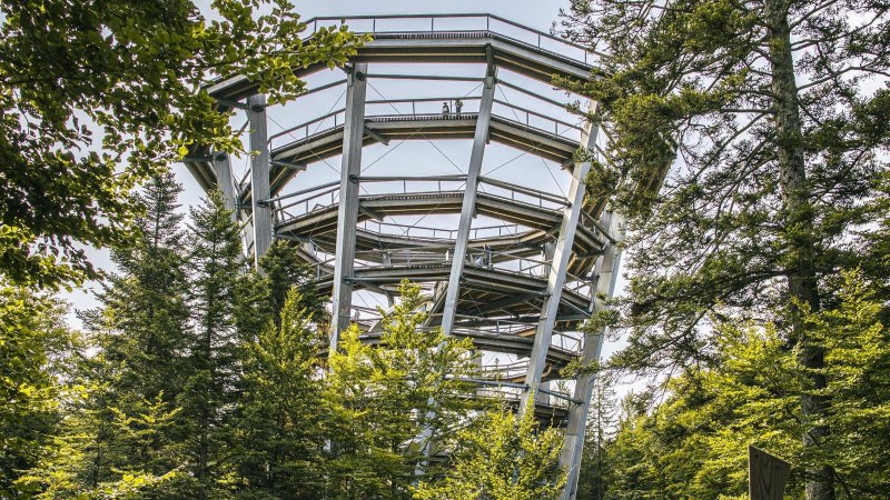 Ein spiralförmiger Aussichtsturm in Bad Wildbad ragt zwischen grünen Bäumen empor. Der Himmel ist klar und sonnig., © Stuttgart-Marketing GmbH, Sarah Schmid