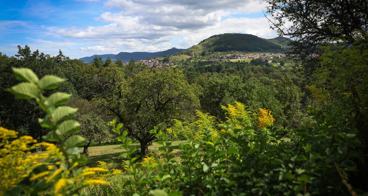 Blick auf eine grüne Landschaft mit Hügeln, Bäumen und einem Dorf im Hintergrund unter einem bewölkten Himmel. Blick auf eine grüne Landschaft mit Hügeln, Bäumen und einem Dorf im Hintergrund unter einem bewölkten Himmel.