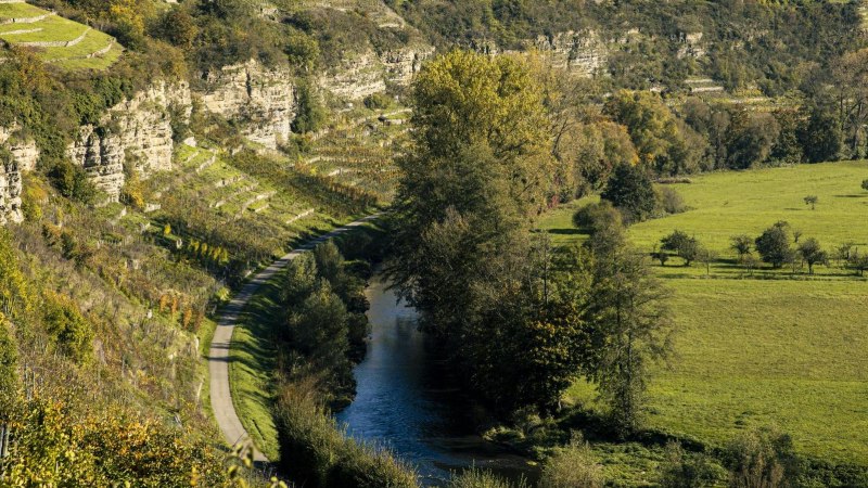 Enzschlinge, Vaihingen an der Enz, © SMG, Sarah Schmid Enzschlinge, Vaihingen an der Enz, © SMG, Sarah Schmid