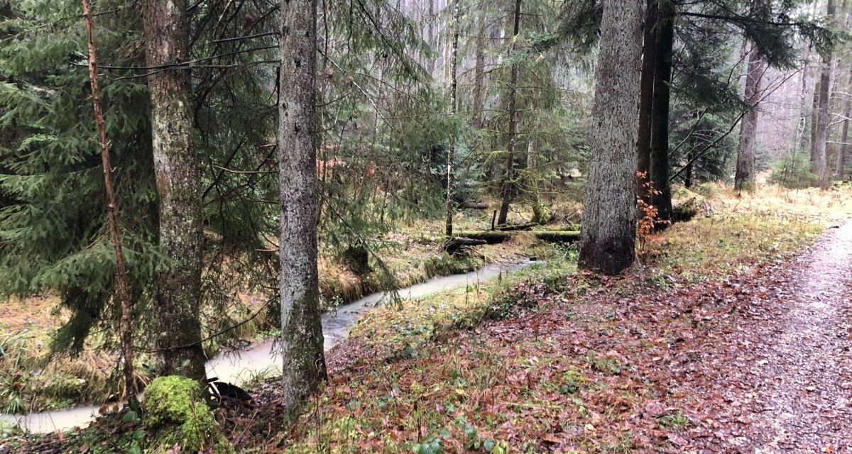 Am Deutenbach entlang Am Deutenbach entlang