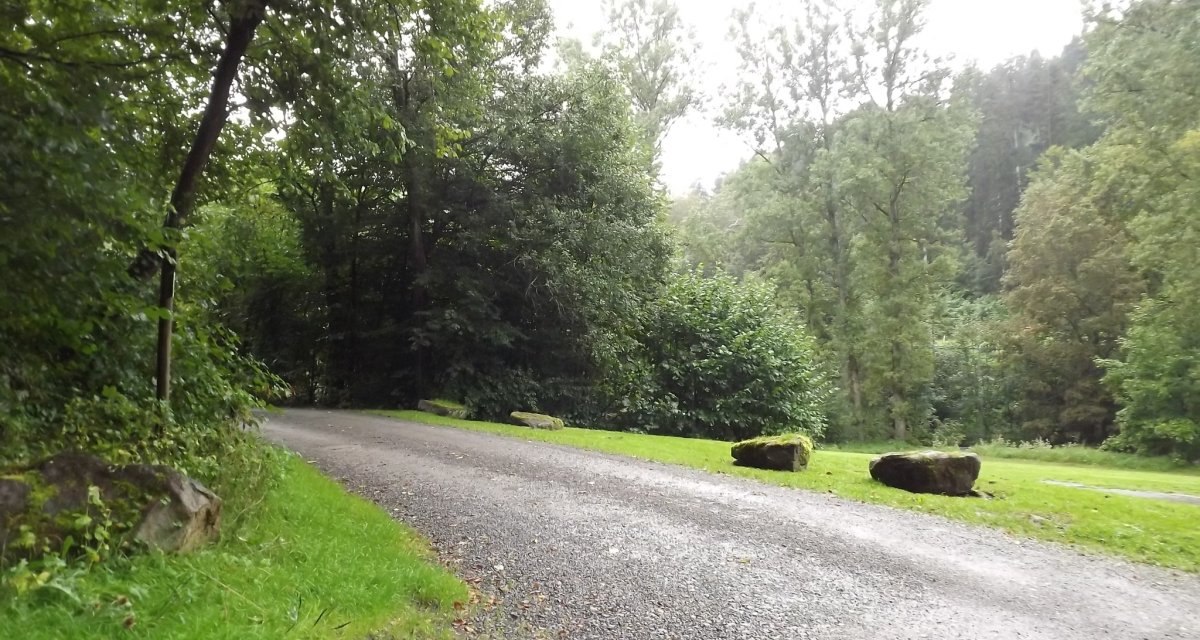 Ein ruhiger Waldweg mit Kies, umgeben von üppigem Grün und großen Steinen am Rand. Die Bäume spenden Schatten und schaffen eine friedliche Atmosphäre., © Natur.Nah. Schönbuch & Heckengäu Ein ruhiger Waldweg mit Kies, umgeben von üppigem Grün und großen Steinen am Rand. Die Bäume spenden Schatten und schaffen eine friedliche Atmosphäre., © Natur.Nah. Schönbuch & Heckengäu