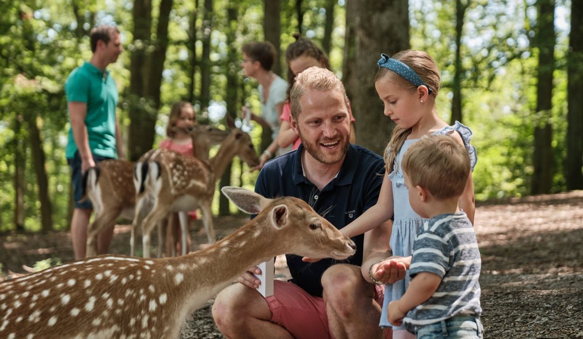 Tripsdrill Wildparadies Tierfütterung | Cleebronn | HeilbronnerLand, © Erlebnispark Tripsdrill Tripsdrill Wildparadies Tierfütterung | Cleebronn | HeilbronnerLand, © Erlebnispark Tripsdrill