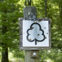 Holzpfosten mit Schild, das ein stilisiertes Baum-Symbol zeigt, umgeben von grünem Wald., © Natur.Nah. Schönbuch & Heckengäu