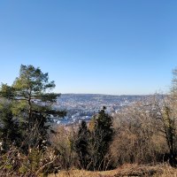 Blick von einem bewaldeten Hügel auf eine Stadt im Tal, umgeben von kahlen Bäumen und einem klaren blauen Himmel., © SMG