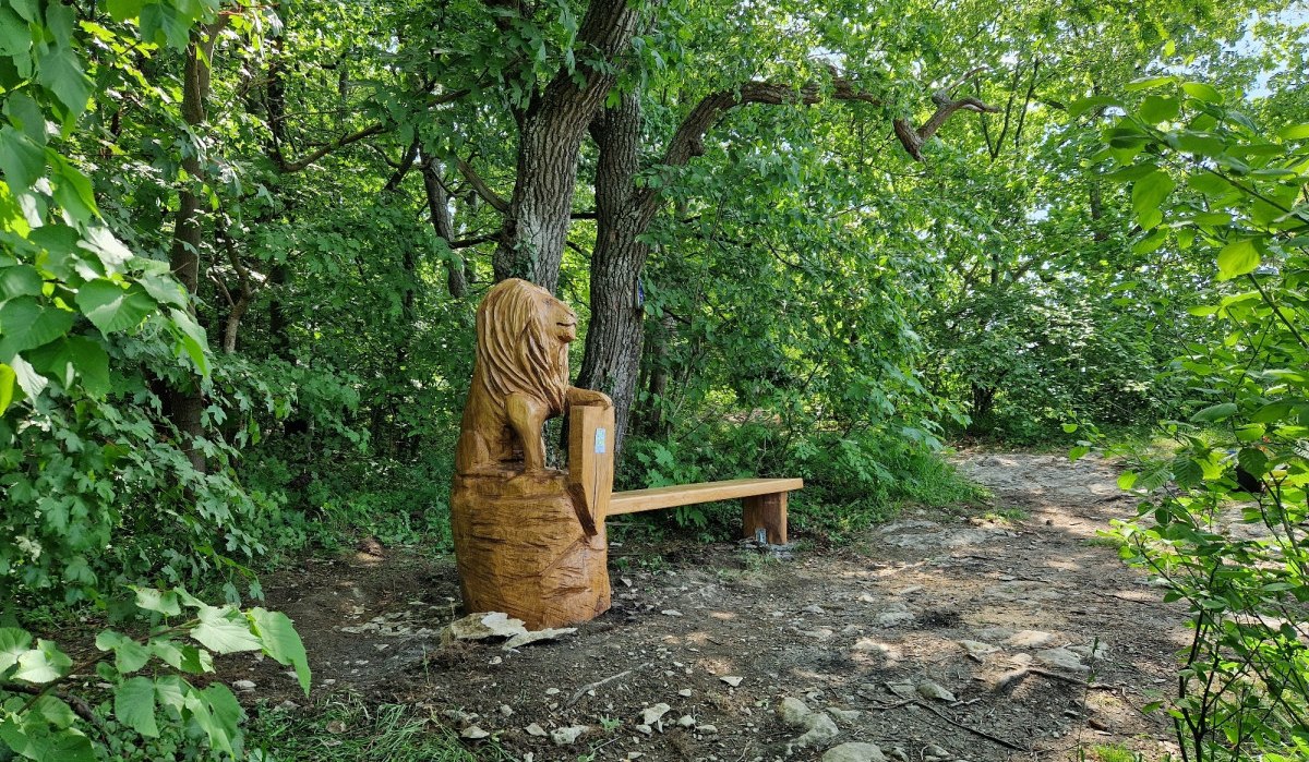 Eine Holzbank mit einer Löwenskulptur steht im grünen Wald am Ramsfels. Der Boden ist steinig und von Bäumen umgeben., © Landkreis Göppingen Eine Holzbank mit einer Löwenskulptur steht im grünen Wald am Ramsfels. Der Boden ist steinig und von Bäumen umgeben., © Landkreis Göppingen