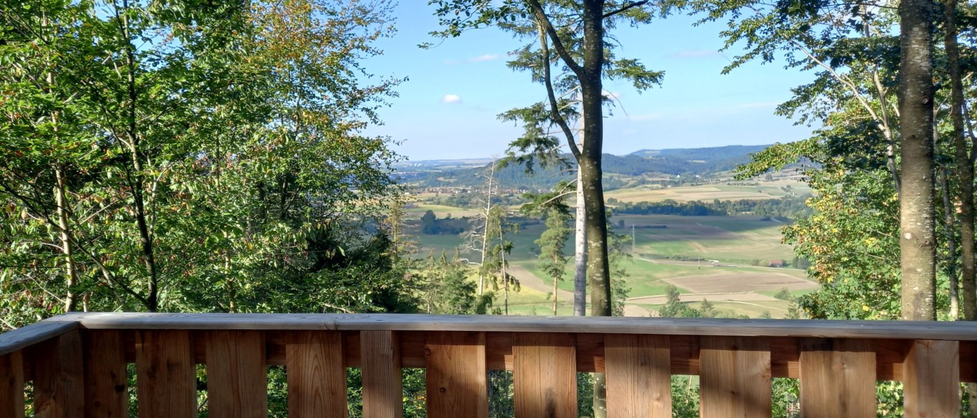 Holzgel&auml;nder mit Blick auf eine weite, gr&uuml;ne Landschaft. Felder und H&uuml;gel erstrecken sich bis zum Horizont, umgeben von B&auml;umen., &copy; Petra Natzkowski