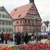 Das historische Rathaus in Backnang mit Fachwerkhäusern und bunten Blumenbeeten. Menschen flanieren auf dem Platz., © Backnang Das historische Rathaus in Backnang mit Fachwerkhäusern und bunten Blumenbeeten. Menschen flanieren auf dem Platz., © Backnang