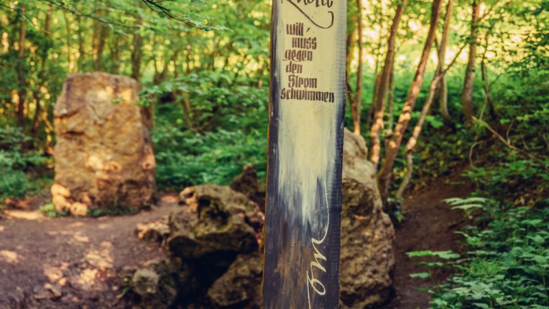 Ein Holzpfosten mit der Inschrift 'Wer zur Quelle will, muss gegen den Strom schwimmen' steht in einem grünen Wald bei Essingen., © Tourismus Ostalb, Fotograf: Christian Frumolt Ein Holzpfosten mit der Inschrift 'Wer zur Quelle will, muss gegen den Strom schwimmen' steht in einem grünen Wald bei Essingen., © Tourismus Ostalb, Fotograf: Christian Frumolt
