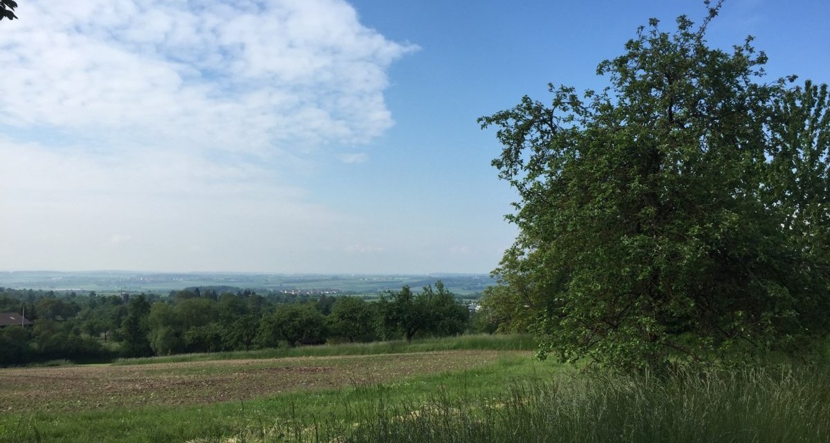Weite Landschaft mit grünem Feld und einem großen Baum im Vordergrund. Der Himmel ist blau mit einigen Wolken., © www.pro-cycl.de Weite Landschaft mit grünem Feld und einem großen Baum im Vordergrund. Der Himmel ist blau mit einigen Wolken., © www.pro-cycl.de