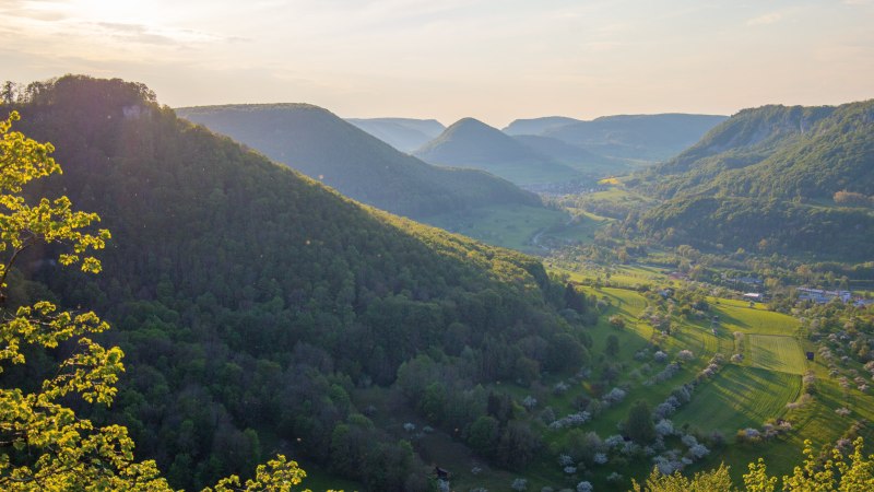 Panoramablick auf gr&uuml;ne H&uuml;gel und T&auml;ler bei Sonnenuntergang. Im Vordergrund bl&uuml;hende B&auml;ume, im Hintergrund sanfte H&uuml;gel und ein weiter Himmel., &copy; SMG, Achim Mende