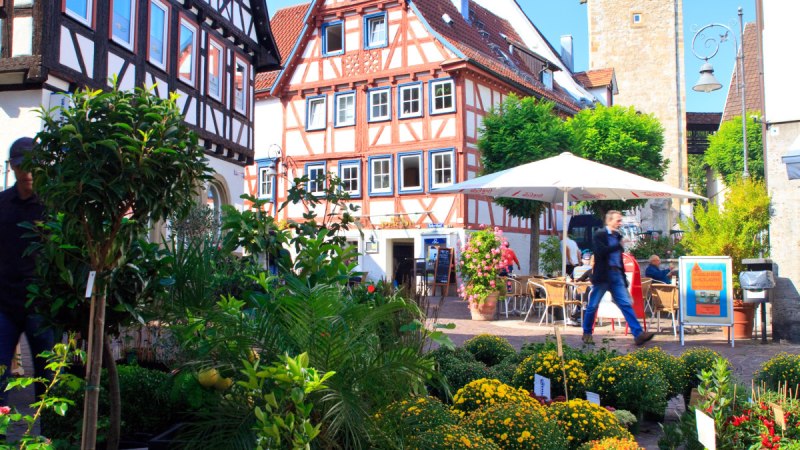 Fachwerkhäuser und ein Turm in einer Altstadt. Im Vordergrund ein Blumenmarkt mit bunten Pflanzen unter blauem Himmel., © Waiblingen - Stuttgart-Marketing GmbH Fachwerkhäuser und ein Turm in einer Altstadt. Im Vordergrund ein Blumenmarkt mit bunten Pflanzen unter blauem Himmel., © Waiblingen - Stuttgart-Marketing GmbH