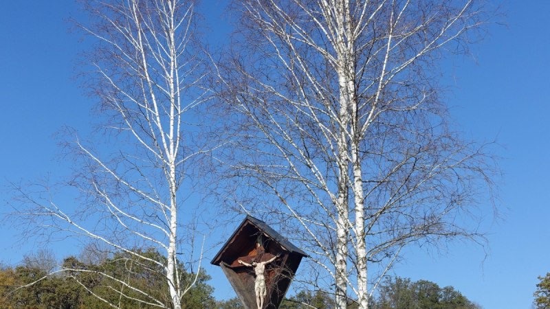 Ein Kruzifix steht zwischen zwei kahlen Birken auf einer grünen Wiese unter klarem, blauem Himmel., © Foto: Cornelia Steinbach